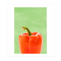 Red Bell Pepper, Fresh Kitchen Art, Capsicum Chilli (Print Only)