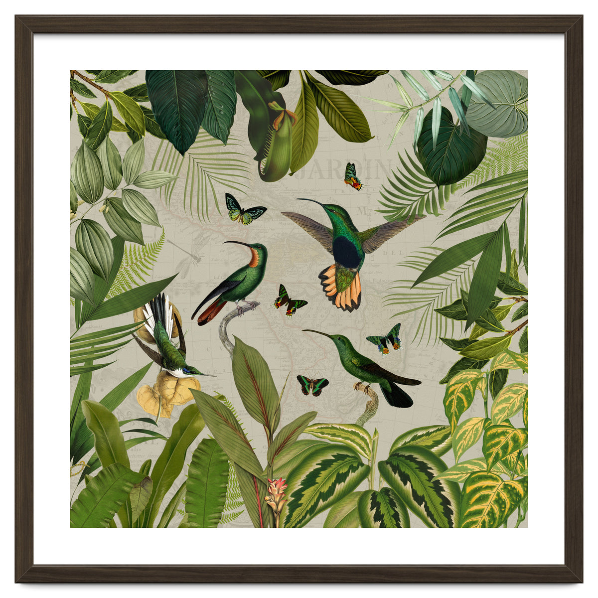Vintage Exotic Hummingbirds Jungle