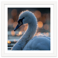 Close-up Shot of a Swan with Water Droplets