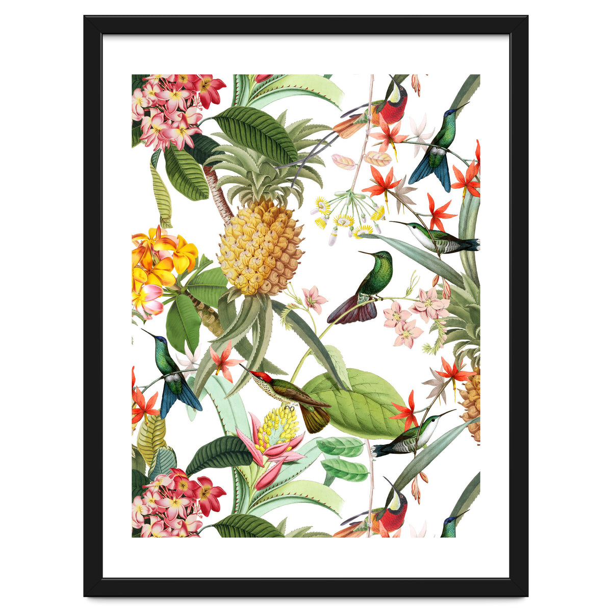 Hummingbirds in tropical Jungle