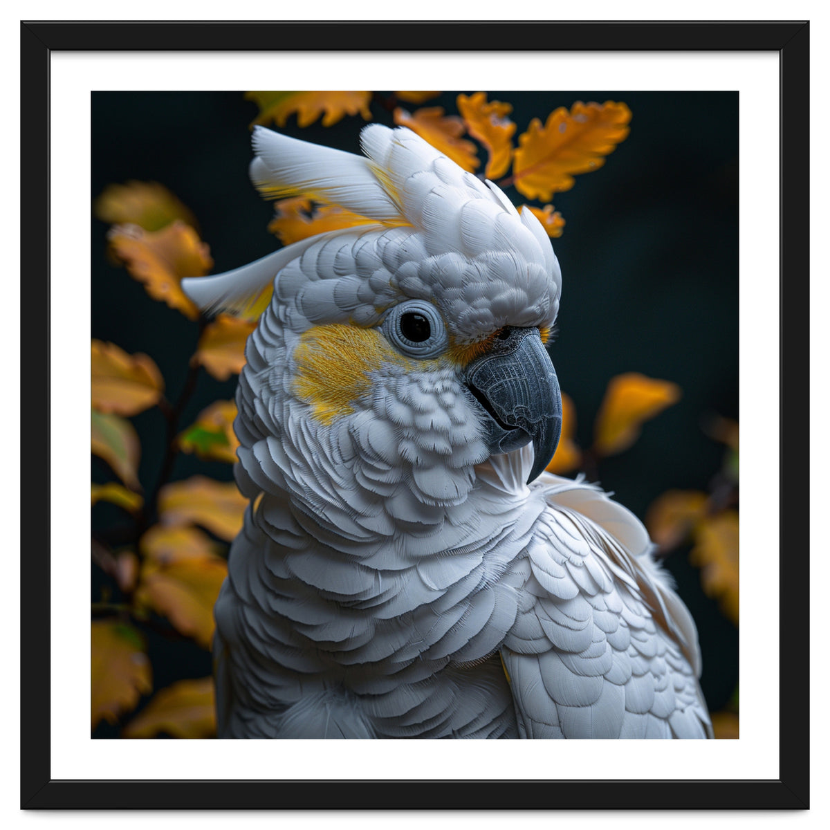 Yellow Crested Cockatoo Portrait Autumn Leaves Dark