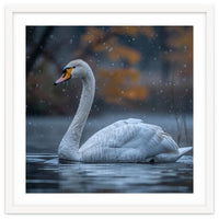 Swan Floating Gracefully On Water In Autumn