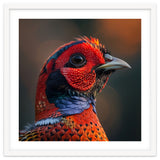 Close Up Pheasant Bird thumbnail