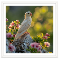 Albino Parrot Perched On A Rock Amongst Flowers