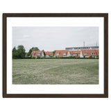 Red roof houses in the green field thumbnail