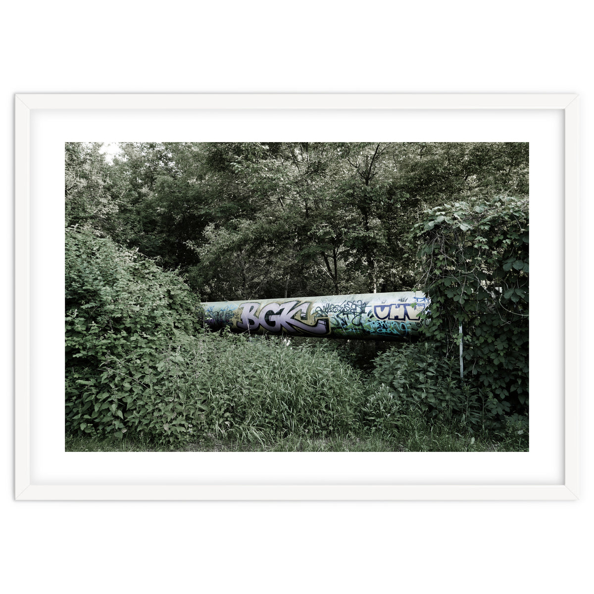 Graffiti pipe among the summer forest