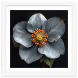 Hellebore | Silver Magic thumbnail