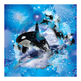 Orca (Print Only) thumbnail