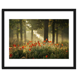 The poppy forest thumbnail