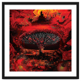 Socotra Dragon Blood tree thumbnail