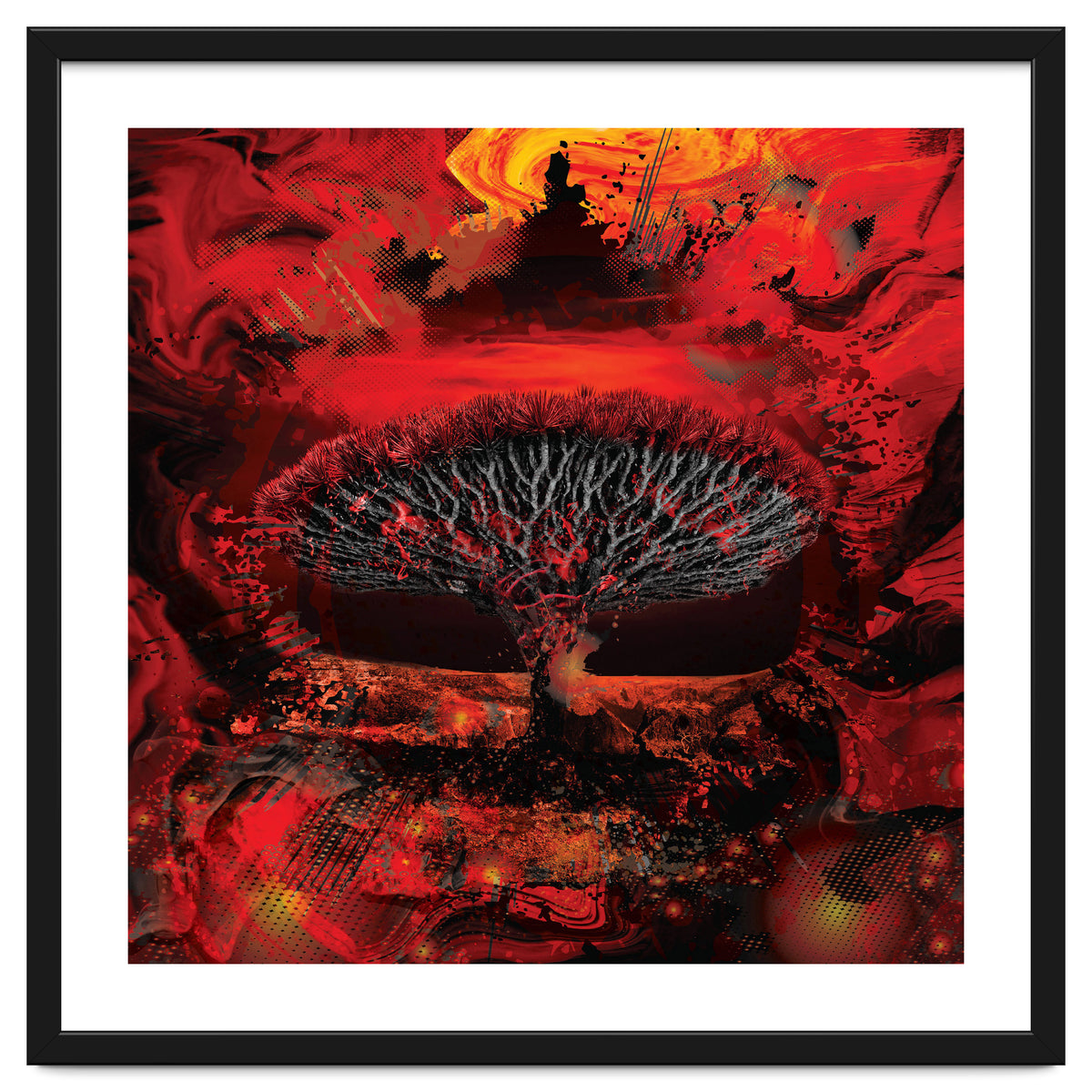 Socotra Dragon Blood tree