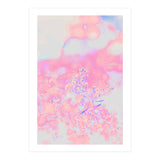 Chamomile (Print Only) thumbnail
