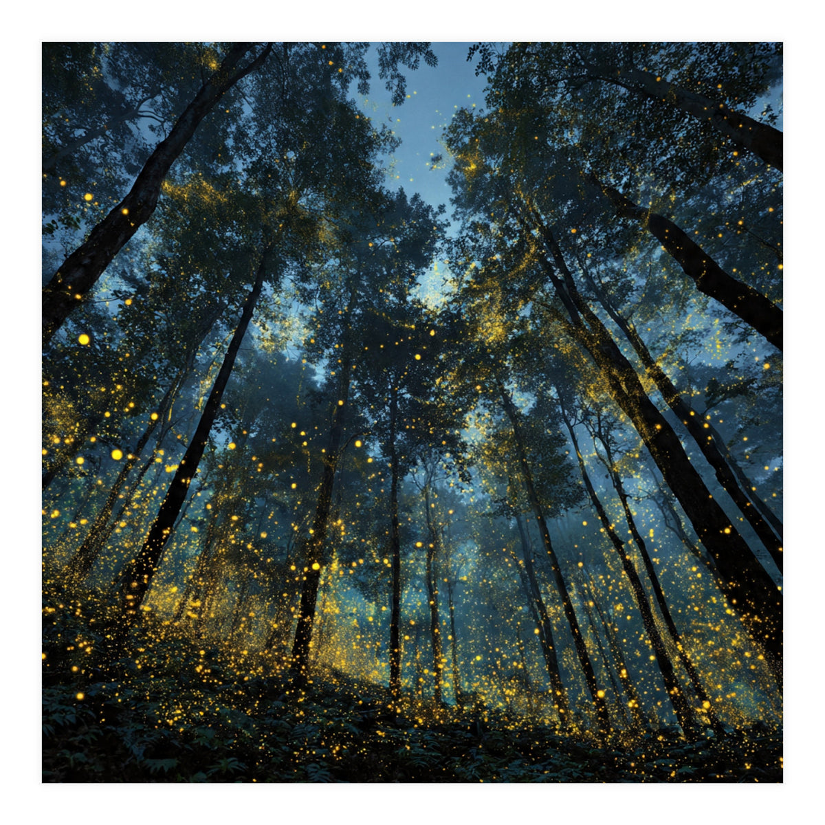 Celestial Forest Canopy with Swirling Golden Fireflies and Deep Twilight Blue Sky Digital Art (Print Only)