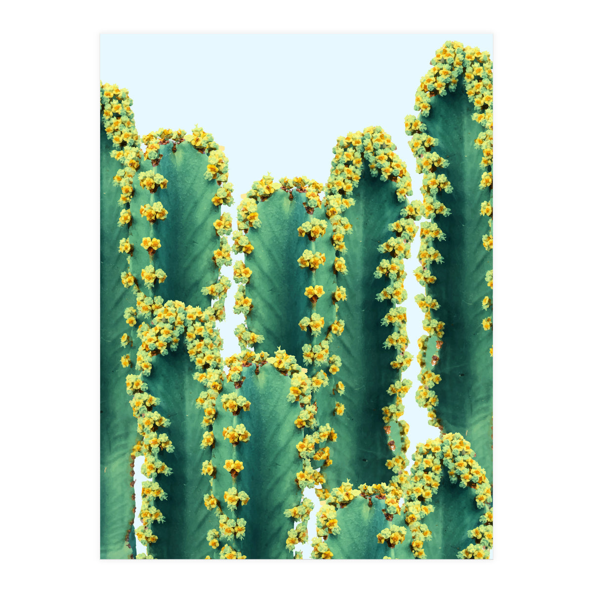 Adorned Cactus #society6 #artprints #buyart (Print Only)