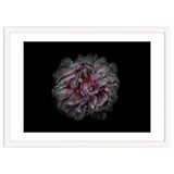 Backyard Flowers No 118 Color Version thumbnail