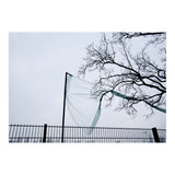 Net caught in a tree (Print Only) thumbnail
