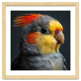Cockatiel Parrot Closeup Vibrant Feather thumbnail