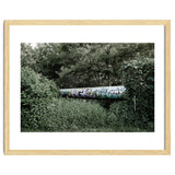 Graffiti pipe among the summer forest thumbnail