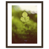 Out of the green thumbnail