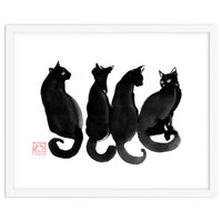 4 Black Cats