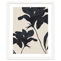 Shadowed Blooms