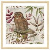 Autumn Owl thumbnail