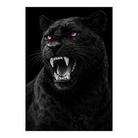 Black leopard with colorful eyes portrait (Print Only)