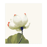 Alive (Print Only) thumbnail