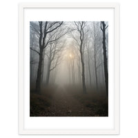 Ethereal Morning Light Breaking Through Dense Forest Fog