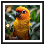 Sun Conure Parrot Colorful Bird Perched On Branch thumbnail