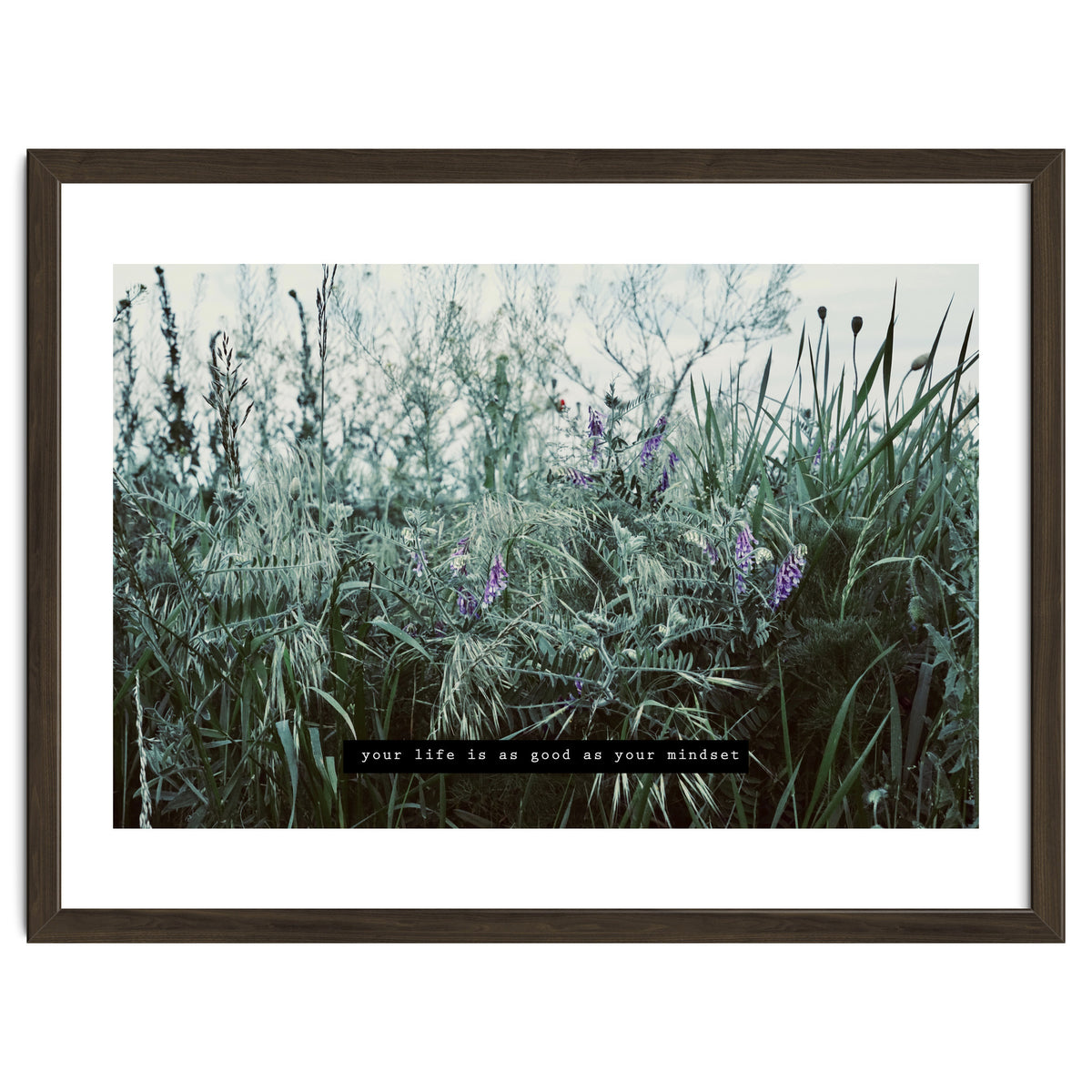 Photography - Summer Garden