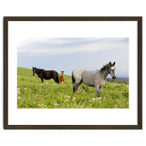 Equine Family thumbnail