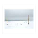 Seagulls in between the volleyball poles in winter snow beach (Print Only) thumbnail
