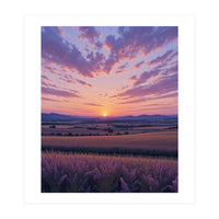 Serene Lavender Fields at Golden Hour Sunset (Print Only)