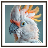Salmon Crested Cockatoo Close Up Portrait thumbnail