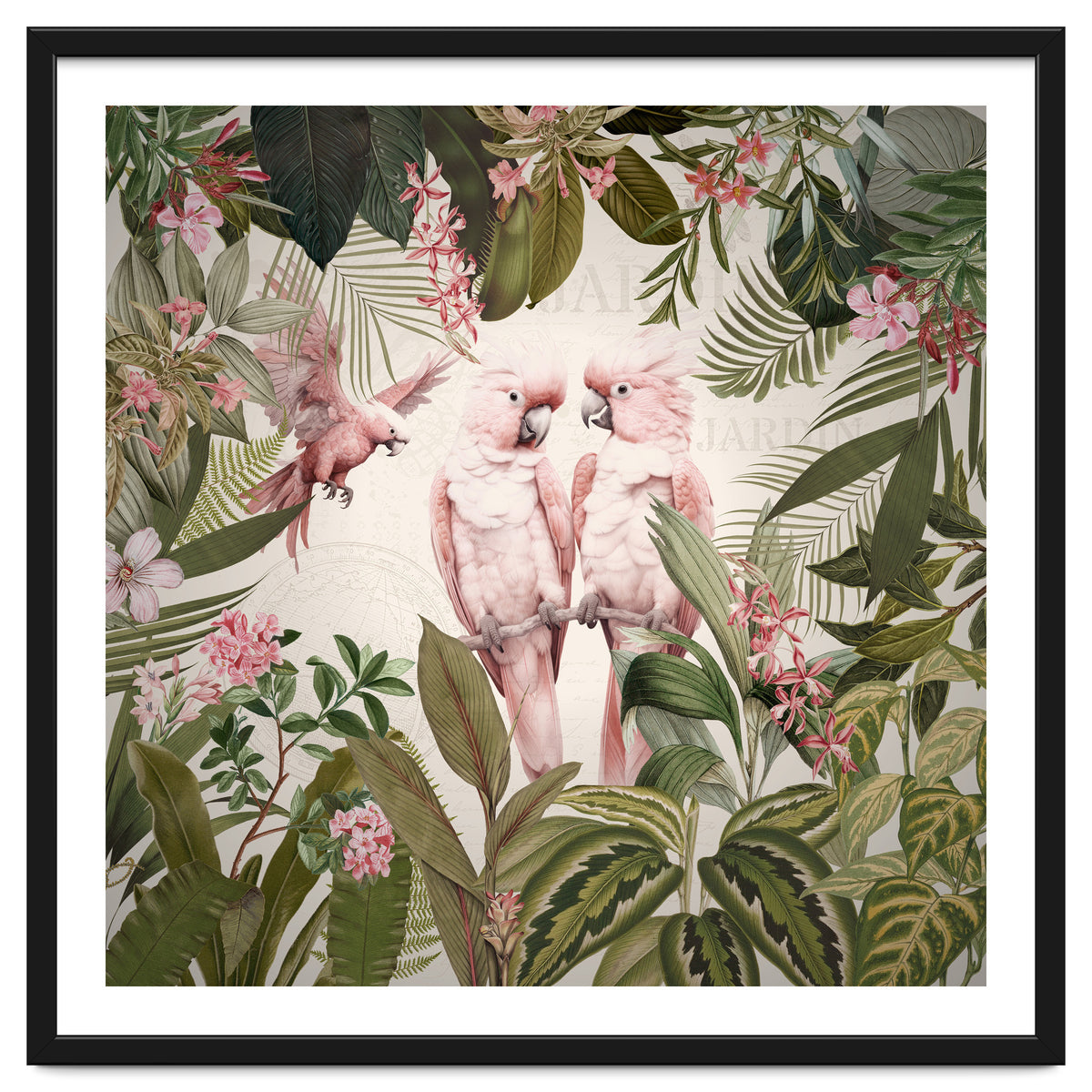 Pink Parrots Exotic Rainforest