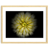 Backyard Flowers No 86 Color Flow Version thumbnail