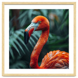 Close Up Of A Vibrant Orange Flamingo Bird thumbnail