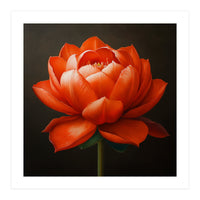 Double Lotus | Scarlet Solace (Print Only)