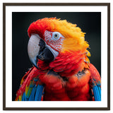 Scarlet Macaw Parrot Portrait Vivid Colors thumbnail