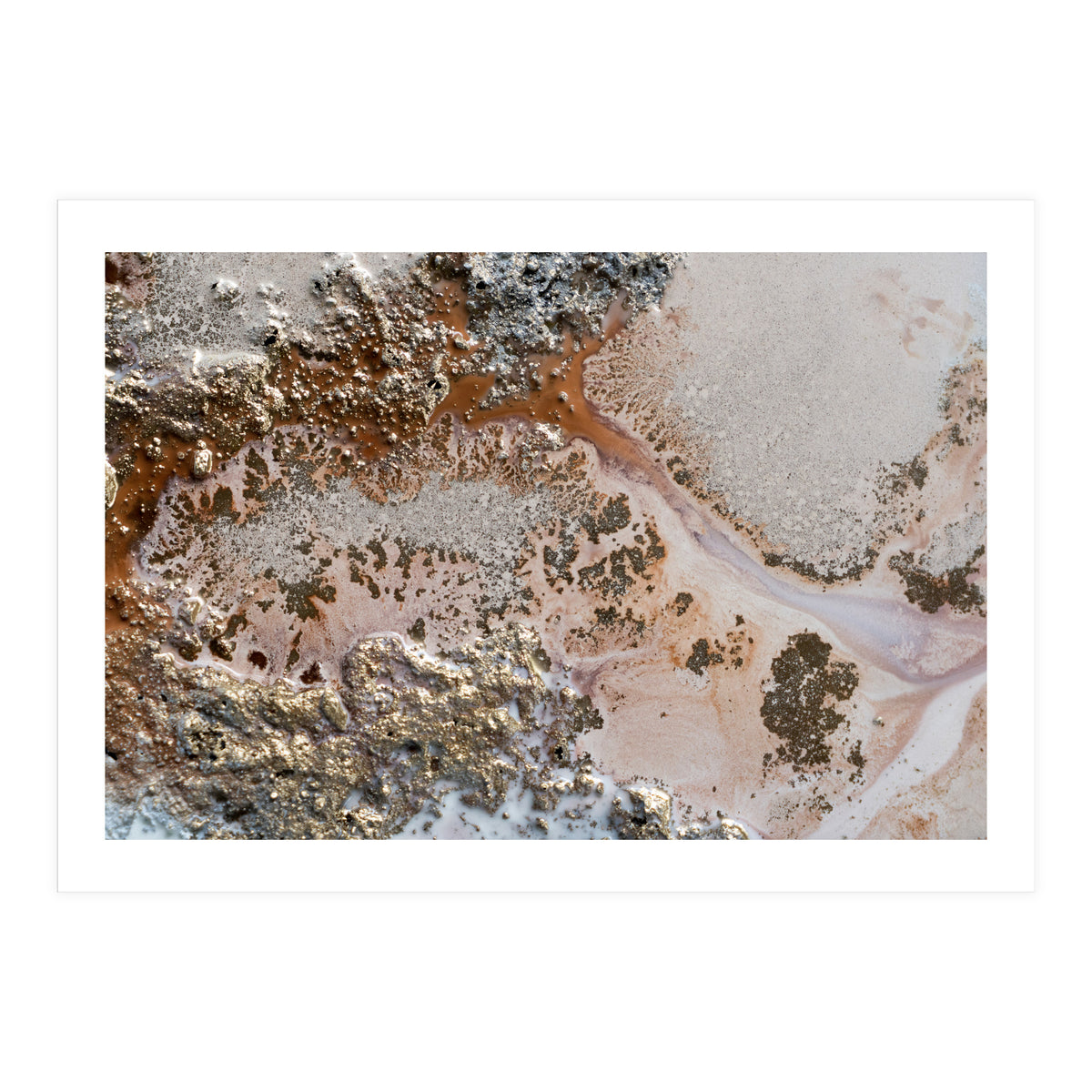 Conection (Print Only)