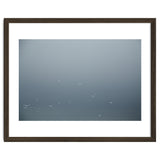 Flying Segulls in thet winter sky thumbnail
