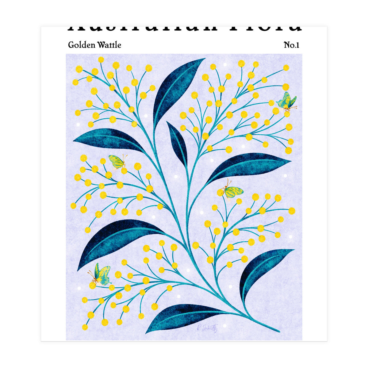 Australian Flora: Golden Wattle (Print Only)