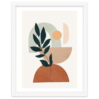 Soft Shapes IV