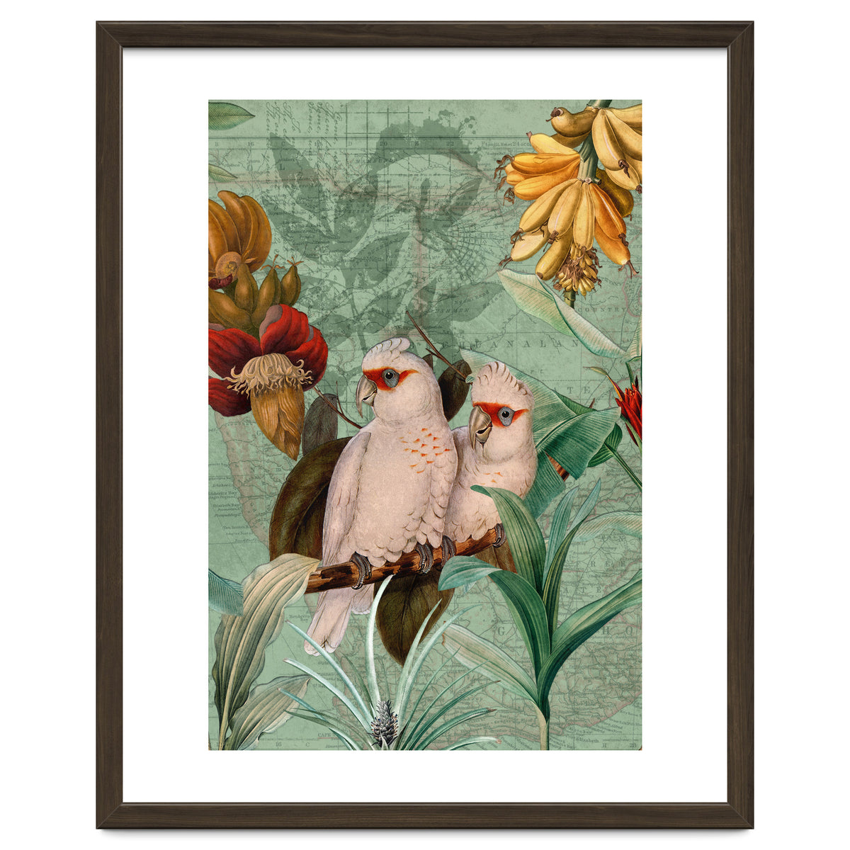 Green Cockatoo Exotic Bird Jungle