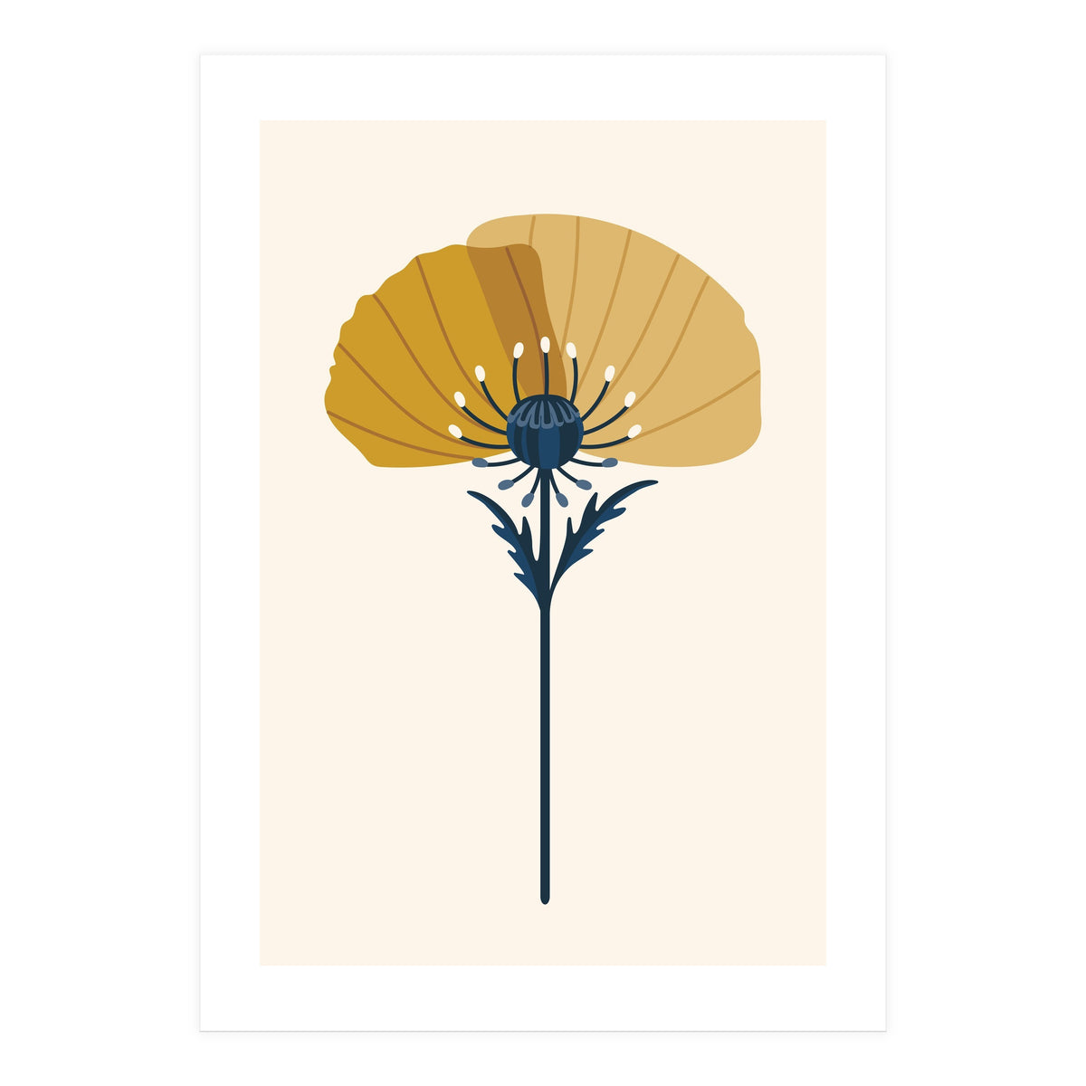Ochre Half Poppy (Print Only)