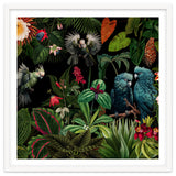 Moody Botanical Midnight Jungle Birds thumbnail