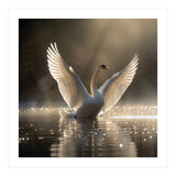 Graceful Swan Spreading Wings On Sparkling Water (Print Only) thumbnail