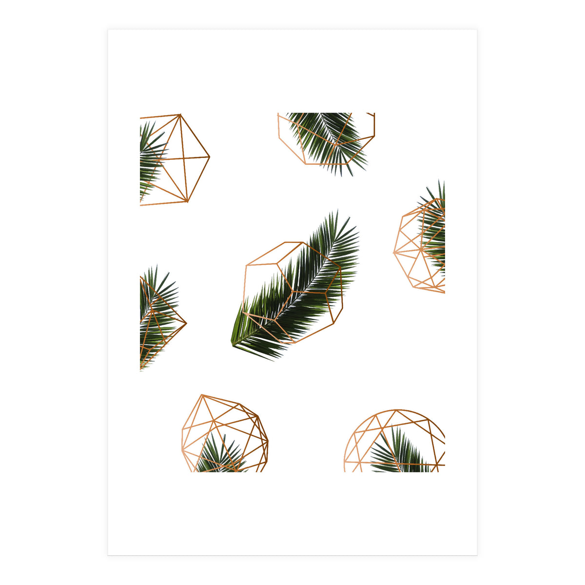 Palm  Geometry V2 (Print Only)