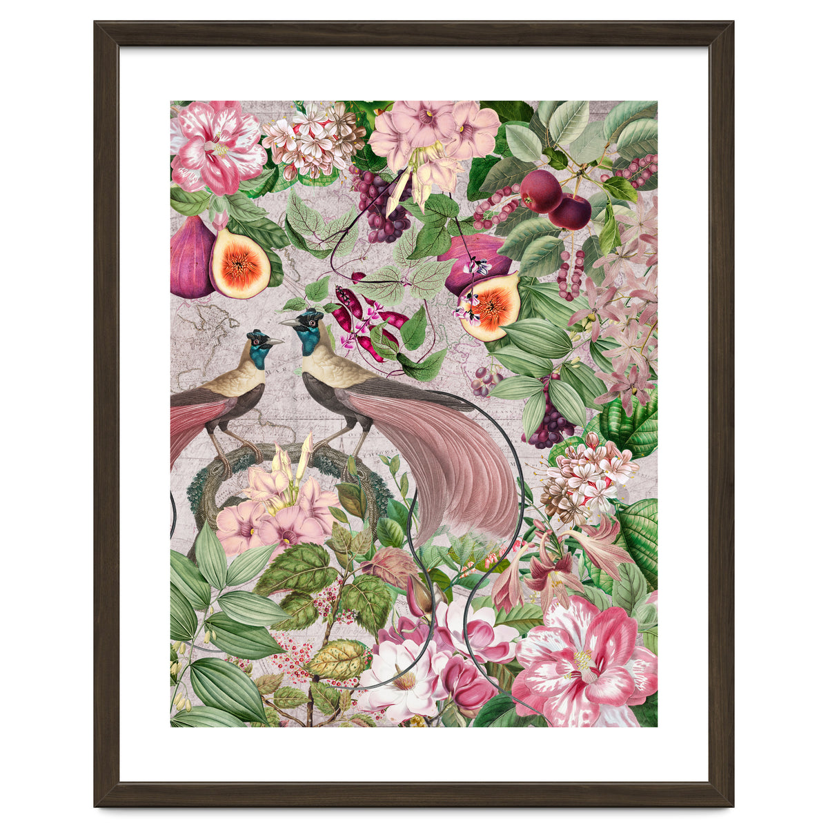 Vintage Birds Of Paradise Jungle